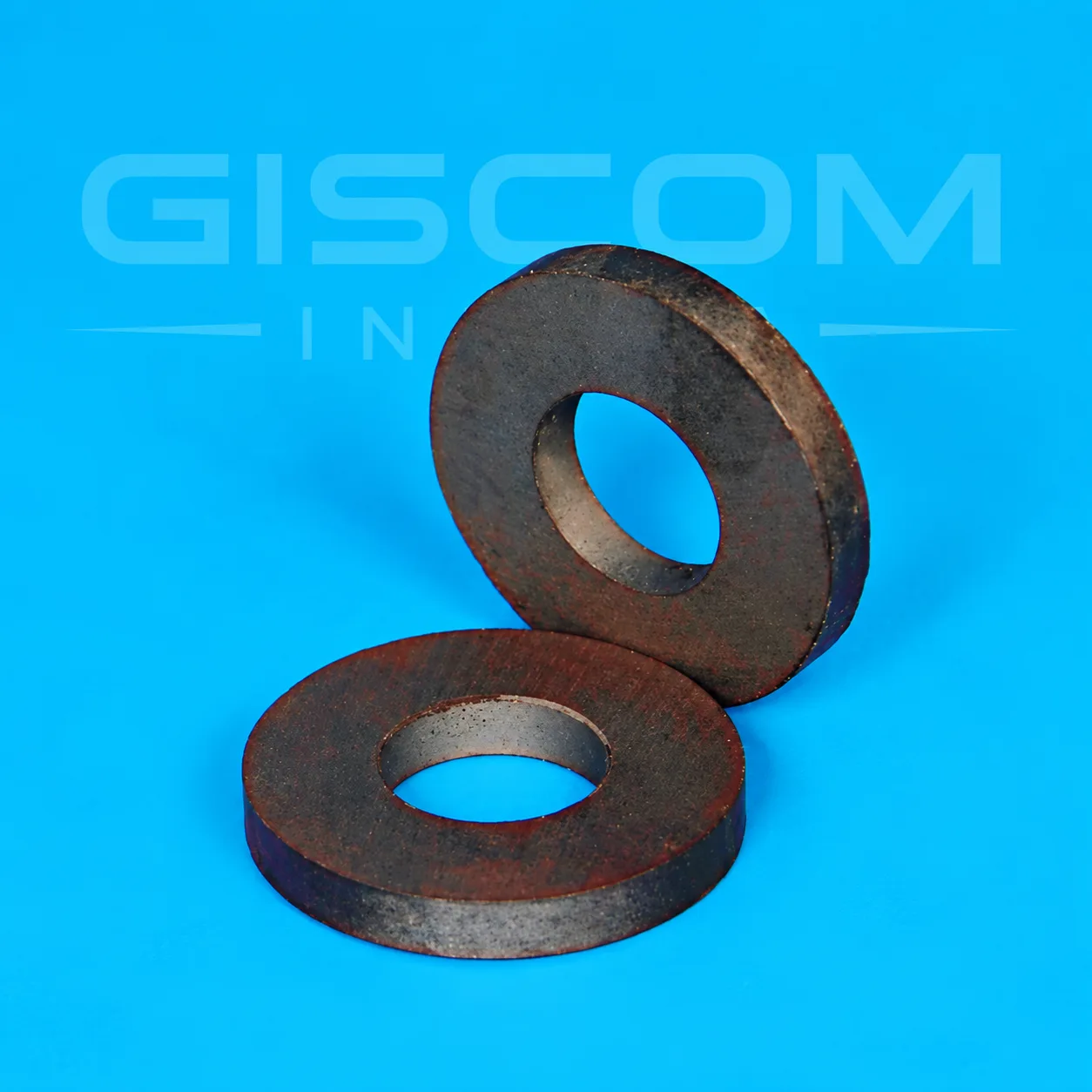 Ceramic Ring Magnet