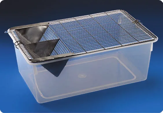 Animal Cage, PP