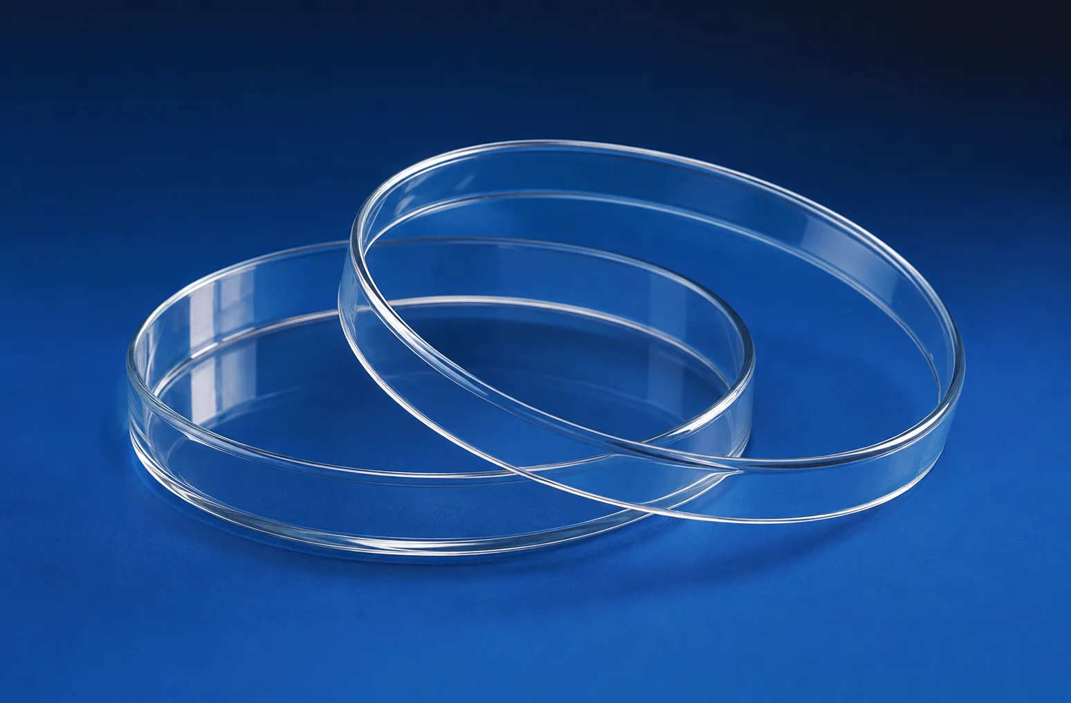 Petri Dish (Culture), PS