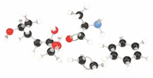 Molecular Model Set – Bio Chemistry Set – Student, PS / PE