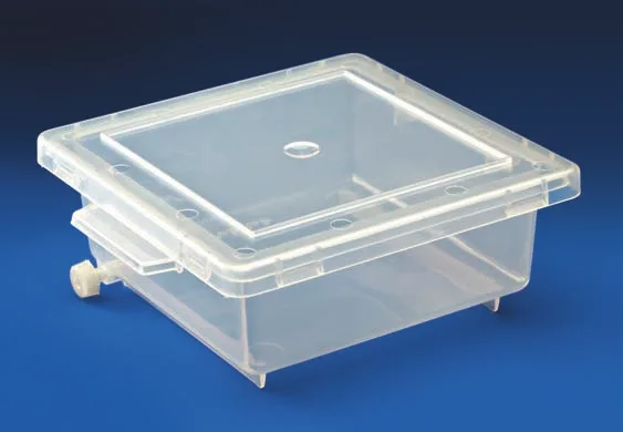 Staining Box