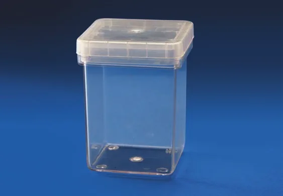 Magenta Box