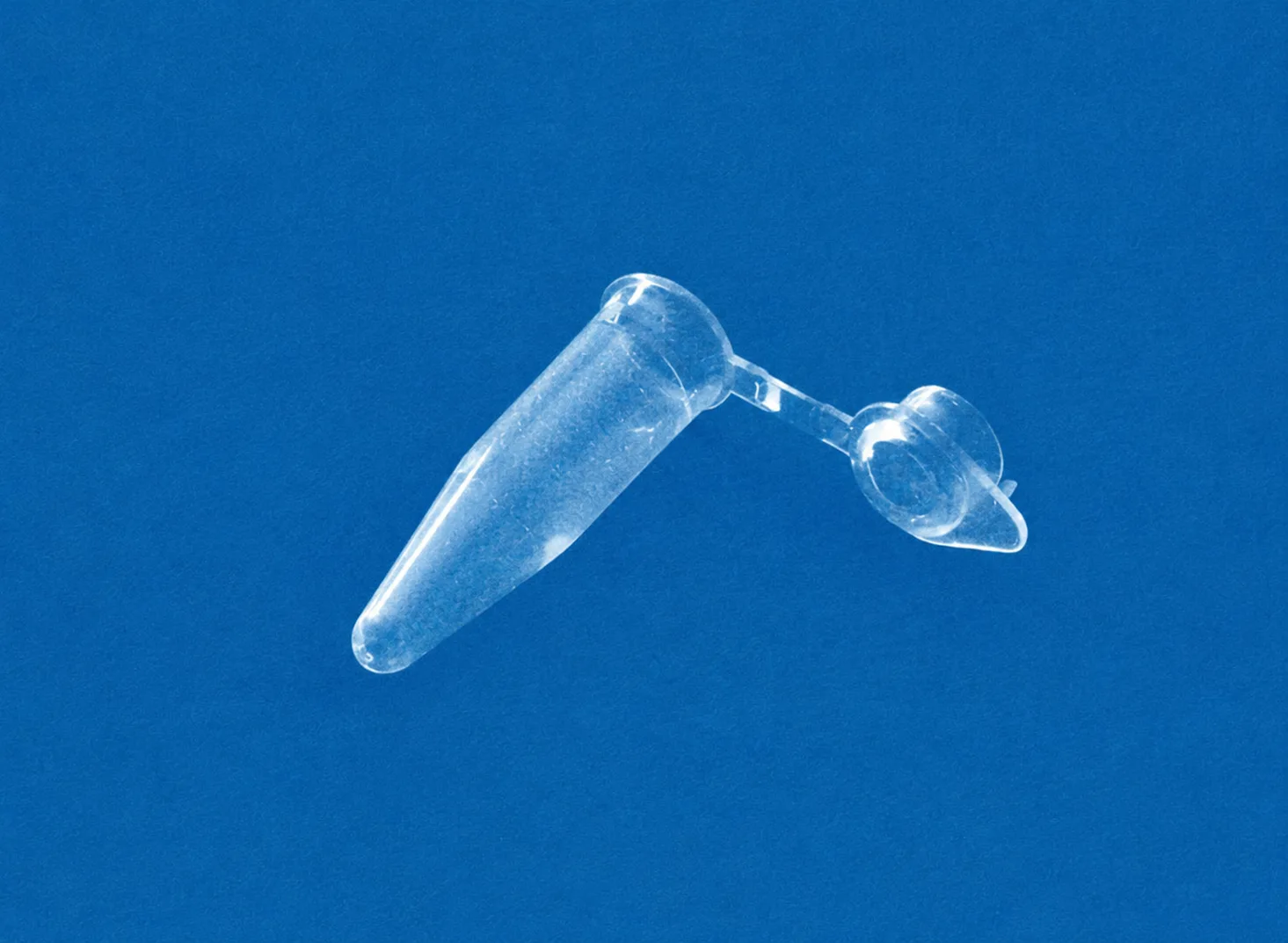 EU 0.2 ml Tube With Optical Flat Cap