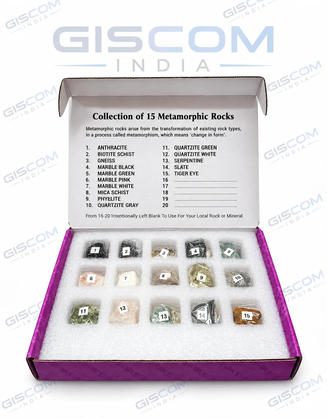 Collection of 15 Metamorphic Rocks