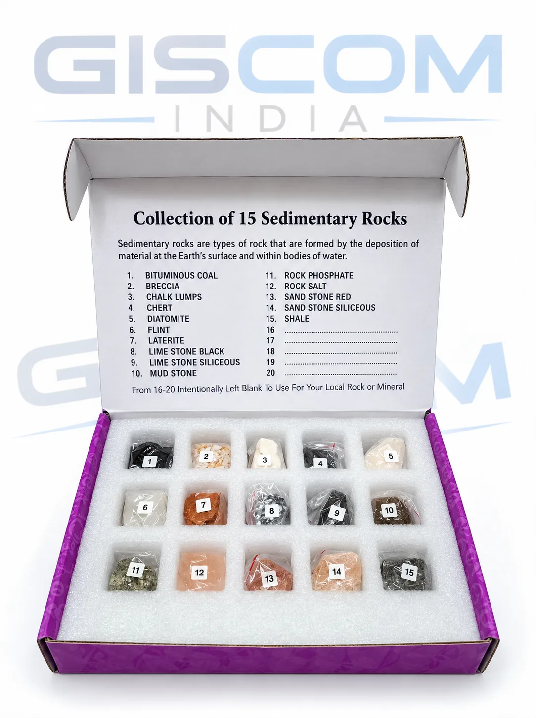 Collection of 15 Sedimentary Rocks