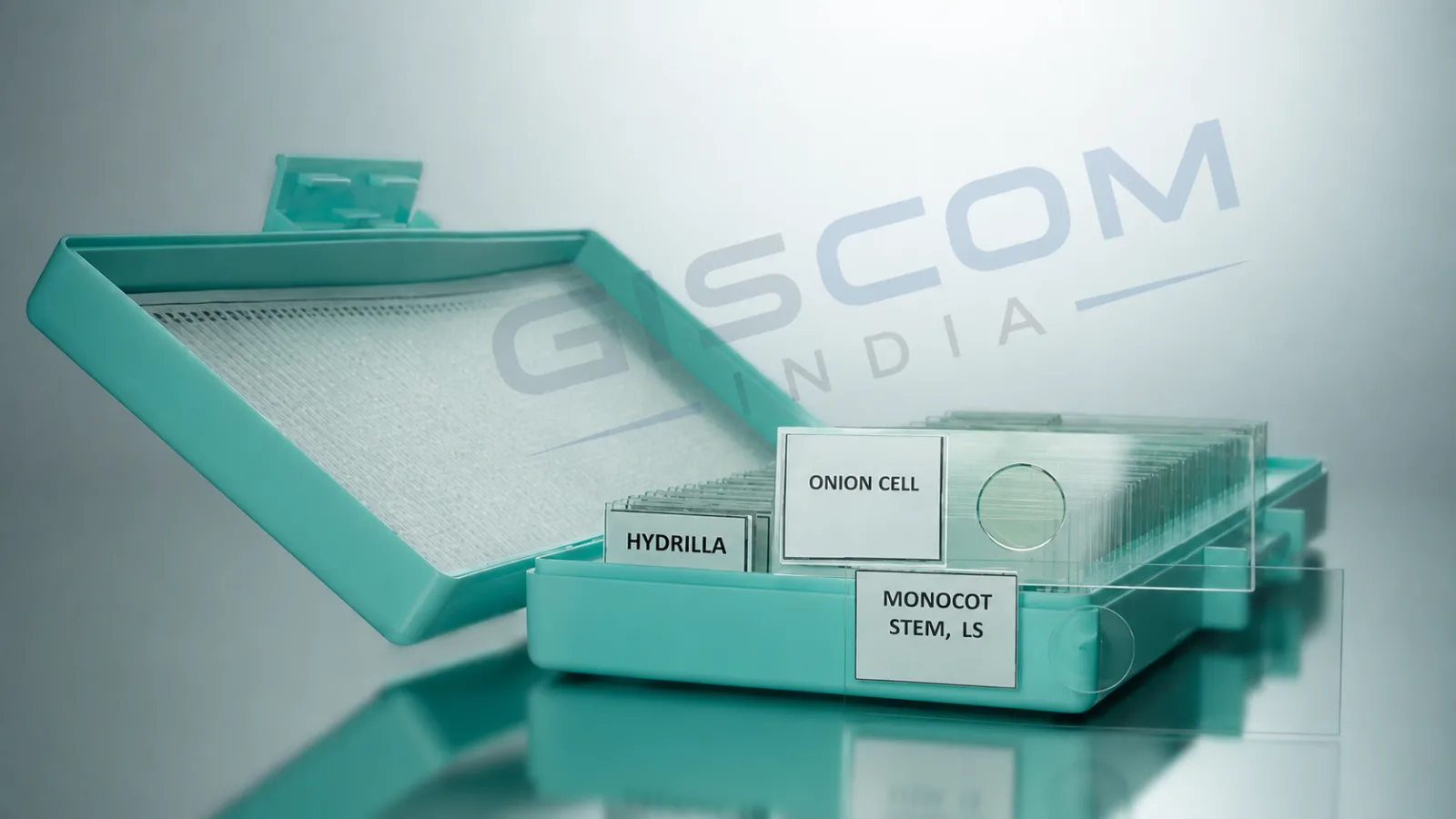 Prepared Microscope Slides
