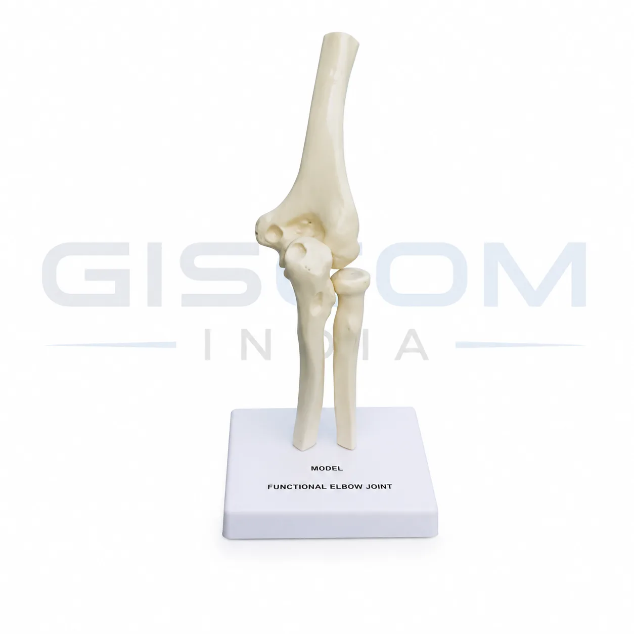 Functional Elbow Joint