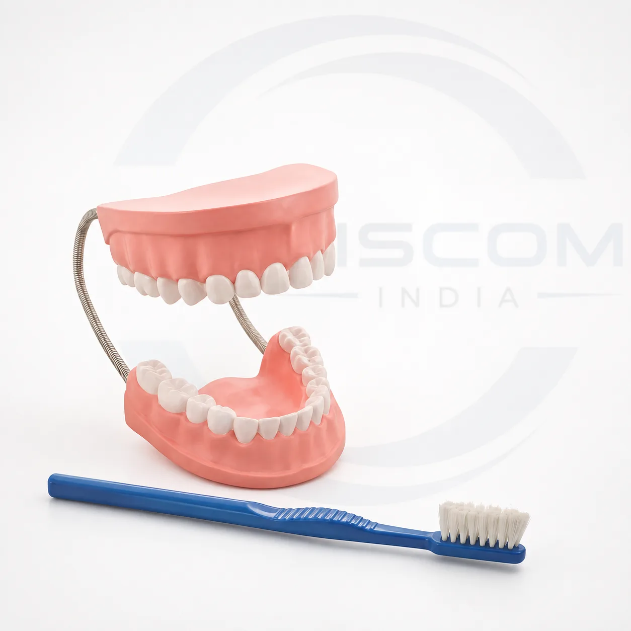 Dental Care Model